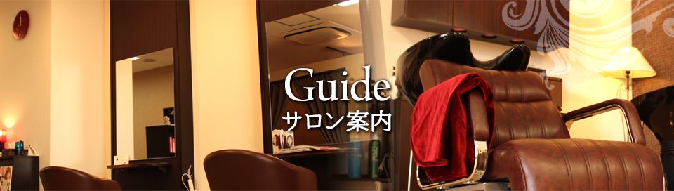 Guide